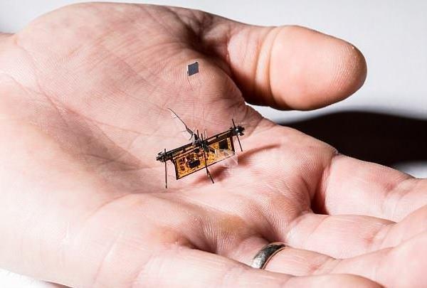 رباتی که با الهام از حشرات ساخته شده است و با انرژی لیزر کار می نماید