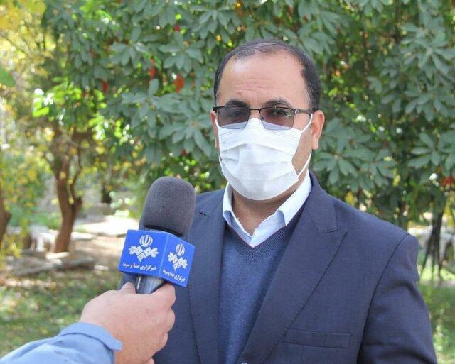 سرانه تولید میوه در کشور بالاتر از متوسط جهانی است سرانه فراوری میوه در کشور بالاتر از متوسط جهانی است
