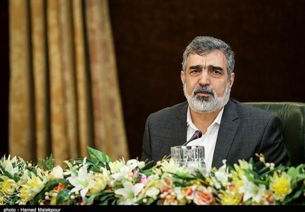کمالوندی: رآکتور اراک آماده تست سرد است کمالوندی: رآکتور اراک آماده تست سرد است