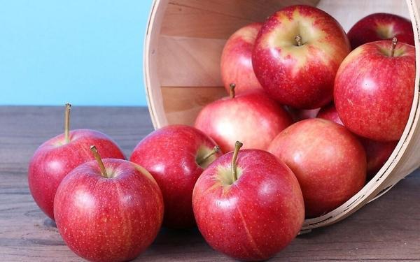 با مصرف روزانه این میوه با چربی خون و آلزایمر خداحافظی کنید، کدام میوه برای چربی خون مفید است