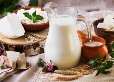 دنیای انواع لبنیات و خواص آن ها