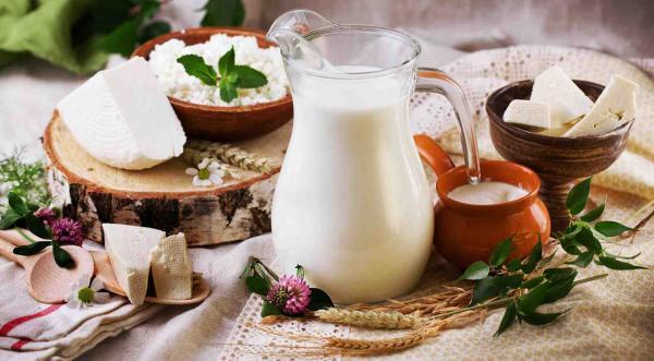 دنیای انواع لبنیات و خواص آن ها دنیای انواع لبنیات و خواص آن ها